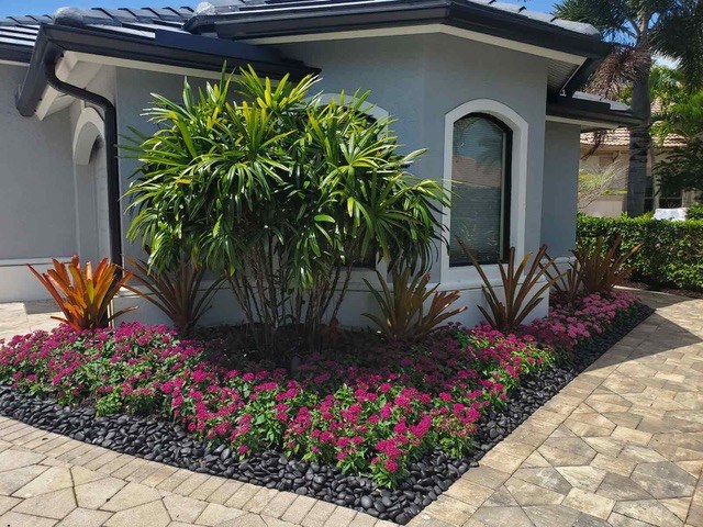 Custom landscaping with bright pink flower bed and lush palm border on a Mediterranean Palm Coast home